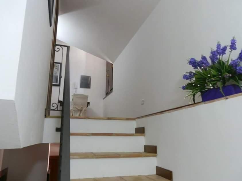 Agriturismo Ai Monaci Montano Antilia Zewnętrze zdjęcie